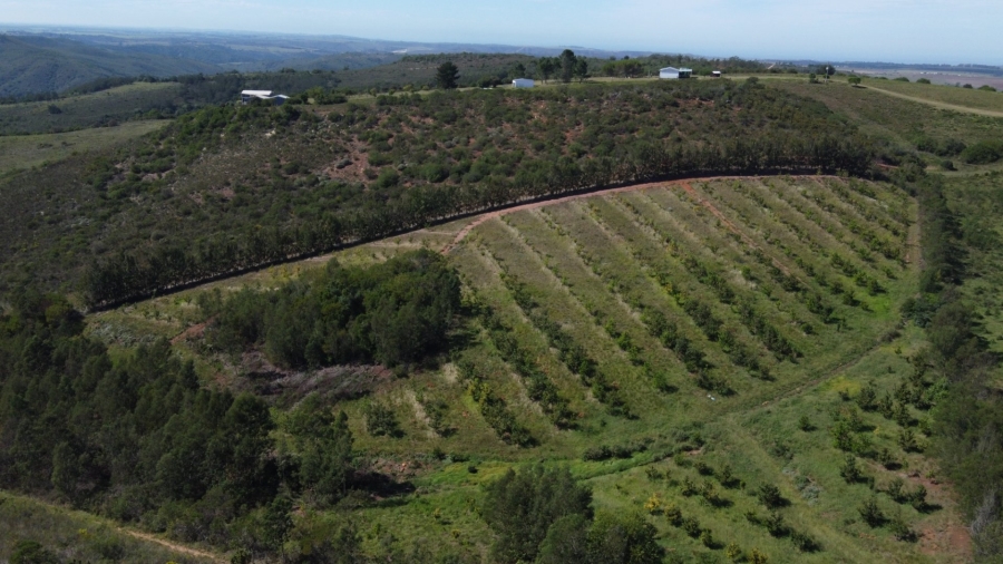 Commercial Property for Sale in Mossel Bay Rural Western Cape